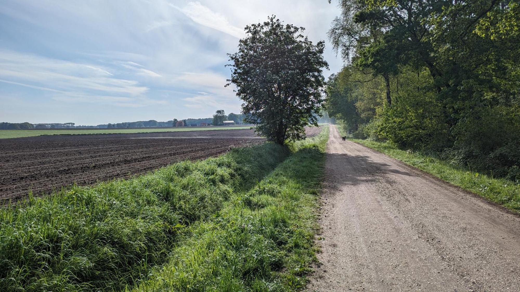 Luxe Bungalow "Zomeroord" Beekbergen Buitenkant foto